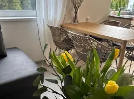 Apartamenty Marszallówka