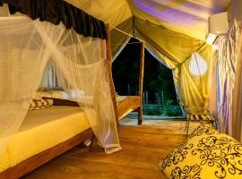 Glamping in the sky and tree house, l&uacute;xustjaldst&aelig;&eth;i &iacute; Sigiriya