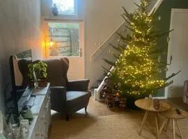 Bosch Boutique House