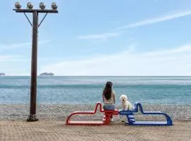 Geoje Blueberry Pet Pension