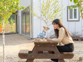 inje darani pet pension, hotel a Inje