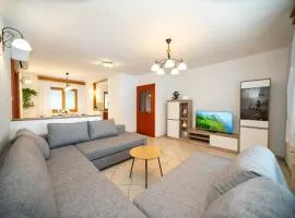 Spacious Apartment Senozece - with terrace & grill