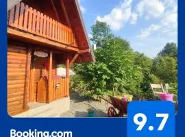 Seoski Turizam Feniks apartman Davidovi Psalmi