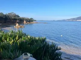 Appartement T2 jardin & accès plage privée