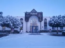 Agape Hotel Niort- Bessines