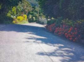 Jolly's Mountain Side Guest House, Hotel in Roseau