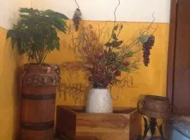 Agriturismo Barcola