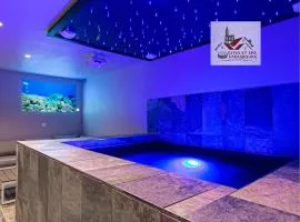 Gites Spa Strasbourg - Villa Gorille - SPA Privé, Sauna, Borne d'arcade, Babyfoot