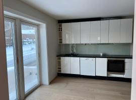 New renovated apartment, superb location and free parking, hotell i Drammen