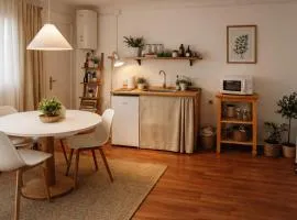 Affordable apartament & rooms in city center