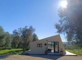 Pieve Vecchia-La Villetta