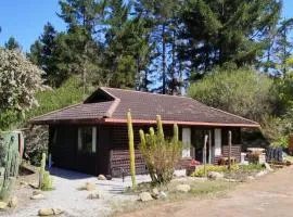 Tomorrowland Guest Farm