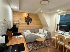 Apartamenty, Biały Dunajec, Jacuzzi , Sauna, Darmowy parking, Kominki w apartamentach, Widok na góry
