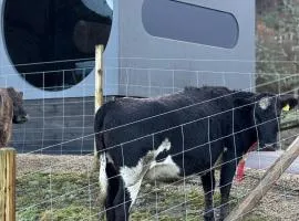Langelandsvik Gard Birdbox