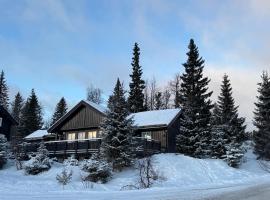 Cosy ski-in ski-out mountain cabin with sauna, hotel Trysilben