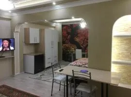 Bandirma Saglik Apart