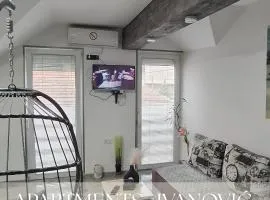 APARTMENTS IVANOViC CENTER CITY