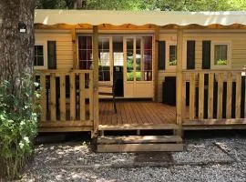 Mobil home pour 8 personnes avec terrasse accessible - API-1-52-408