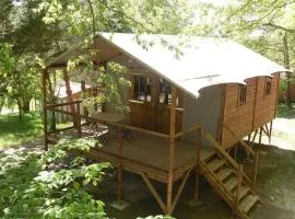 Cabane sur pilotis avec terrasse au calme - API-1-52-1502