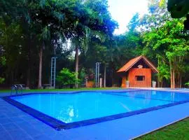 Elephant Safari Hotel