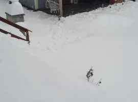 Domki letniskowe nad Jeziorem Solińskim Pasiekówka