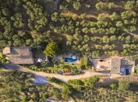 Casa Olivi