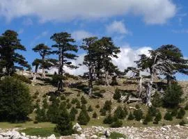 "CUORE DEL POLLINO" Locazione turistica
