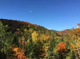 Loft Nature Laurentides