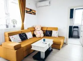 Joy City Stay Elisabeta Rizea 5