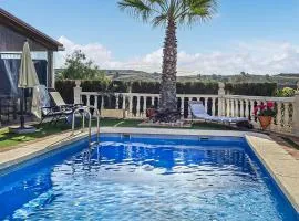 Amazing Home In Aledo With Swimming Pool