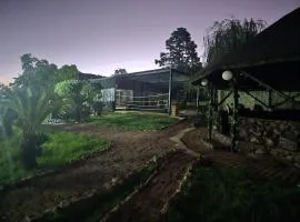 Takara Oasis Spa and Camel Sanctuary