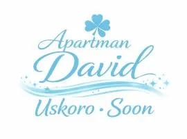 Apartman David