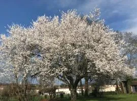 Chambres d'Hôtes - Les Bujours