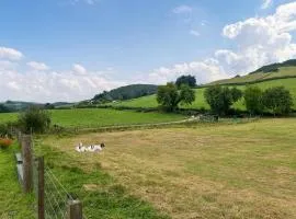 Alderneuk Lodge - Uk49923