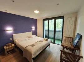 Chambre ZEN 2 - Chez Vincent - Gare - Centre ville Appartement Partagé -WIFI