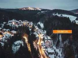 Zielony Las, Sun & Snow