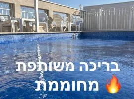 Kingdom of The deadsea crown collection