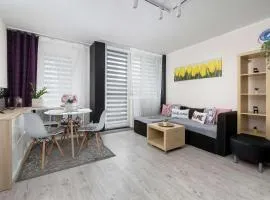 Charming Studio with Balcony in Katowice by Noclegi Renters