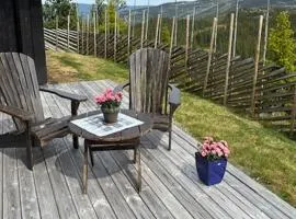Cabin With Panoramic Views Over The Mountains