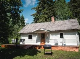 Peaceful Forest Cabin in Nature