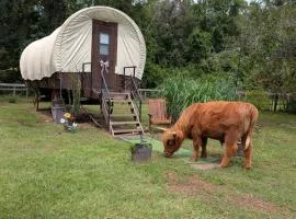 Luxury Covered Wagon, Rooterville Animal Sanctuary
