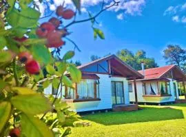 Arriendo de Cabañas con Piscina y Entorno Natural, Villarrica