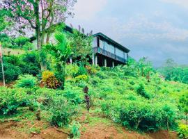 Nelinsa Resort and Spa, hotel i Matale