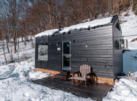 TogetherNest - Ash – hotel w mieście Mătişeşti