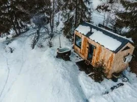 TogetherNest - Cedar