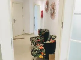 Magnifique F4 225 m2 très propre centre ville moderne