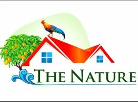 The Nature