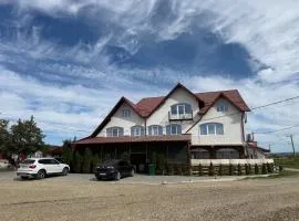 Pensiunea Dumbrăvița