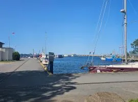 Piękne studio z widokiem na zatokę