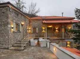 Raise Pavliani Aesthesis